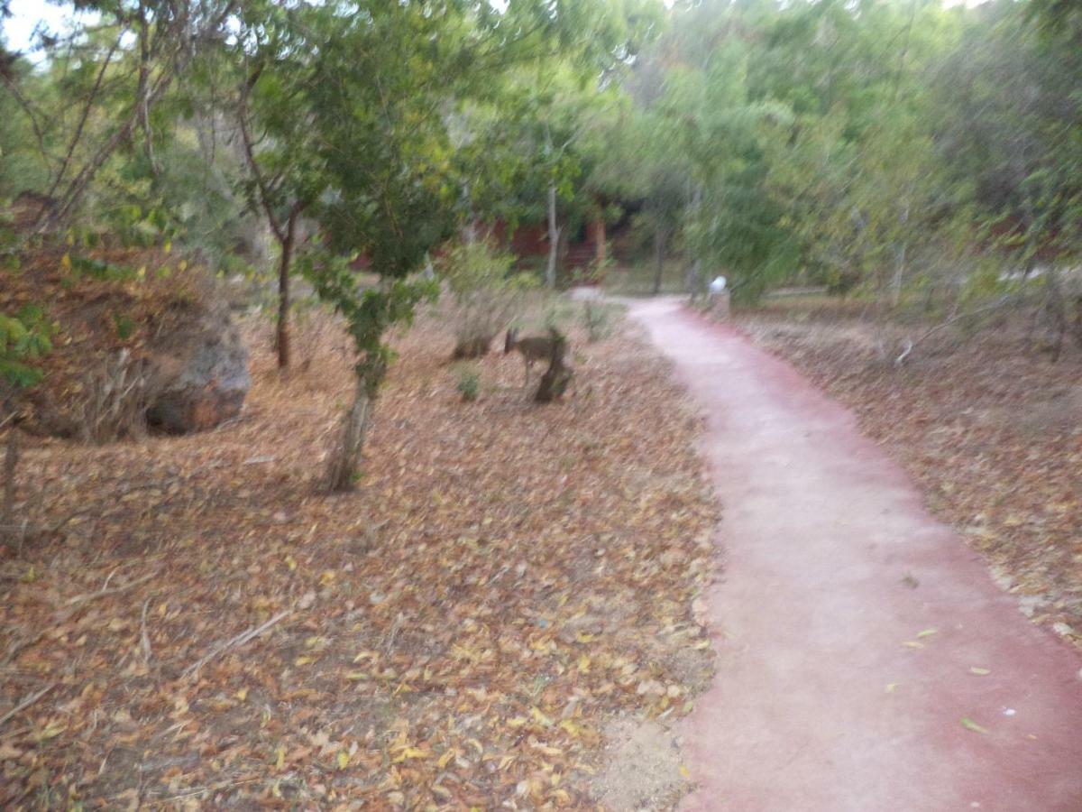 Gosana Eco Nature Hotel Kilifi Buitenkant foto